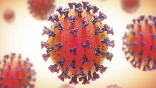 Koronavirusun simptomları hansılardır?